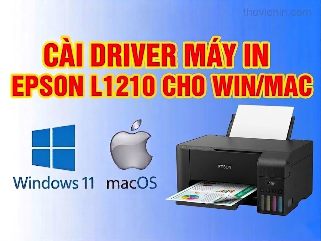 Link tải và Hướng dẫn cài Đặt Driver Máy In Epson L1210