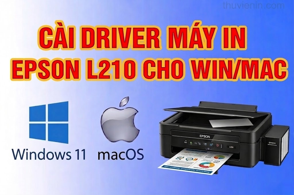 Link tải và Hướng dẫn cài Đặt Driver Máy In  Epson L210