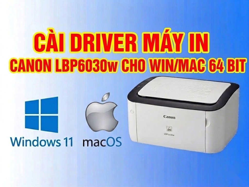 Link tải và Hướng dẫn cài Đặt Driver Máy In  Cannon LBP6030w